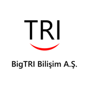 Logo BigTRI